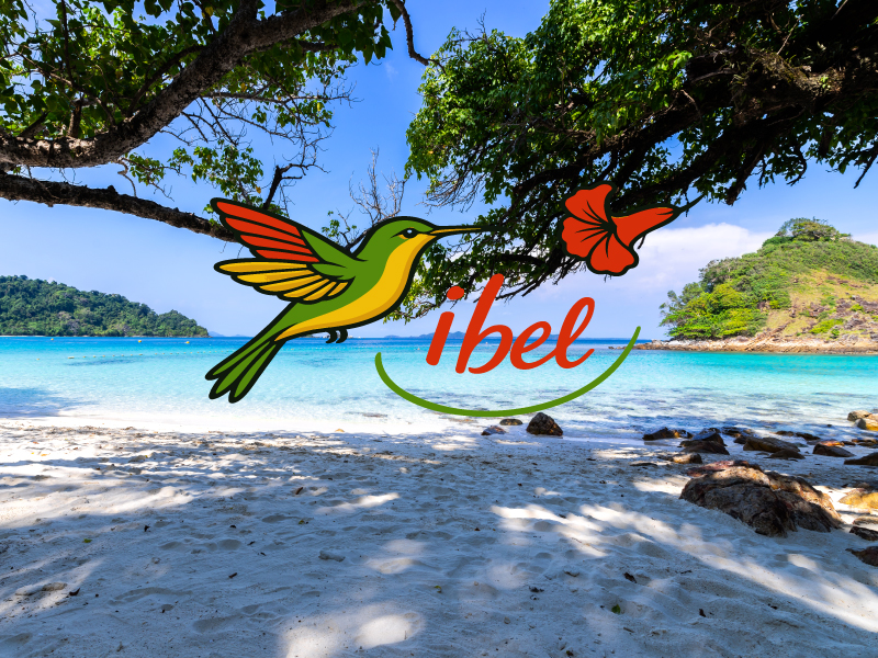 Retrouvez nos collections textiles