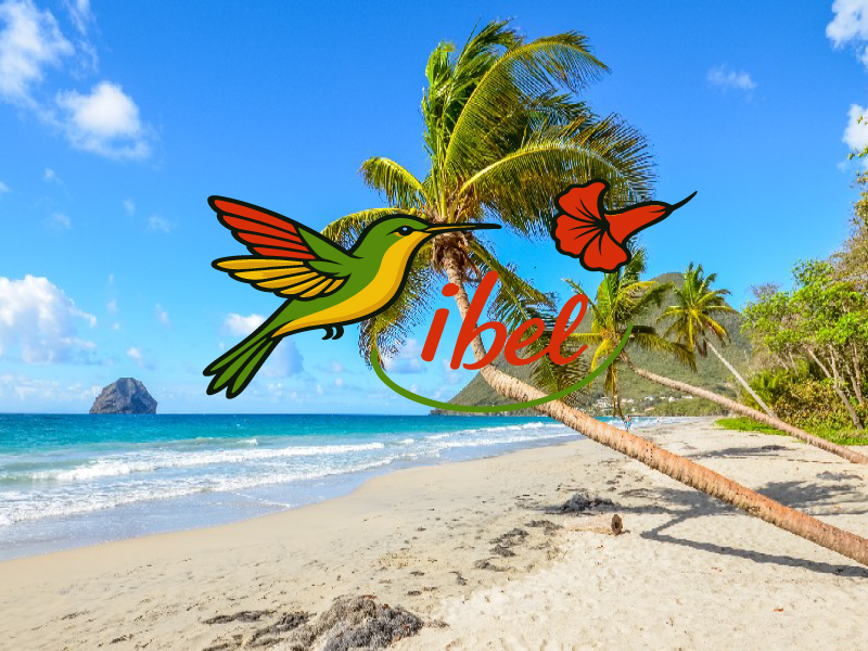 Des idées cadeaux qui font plaisir